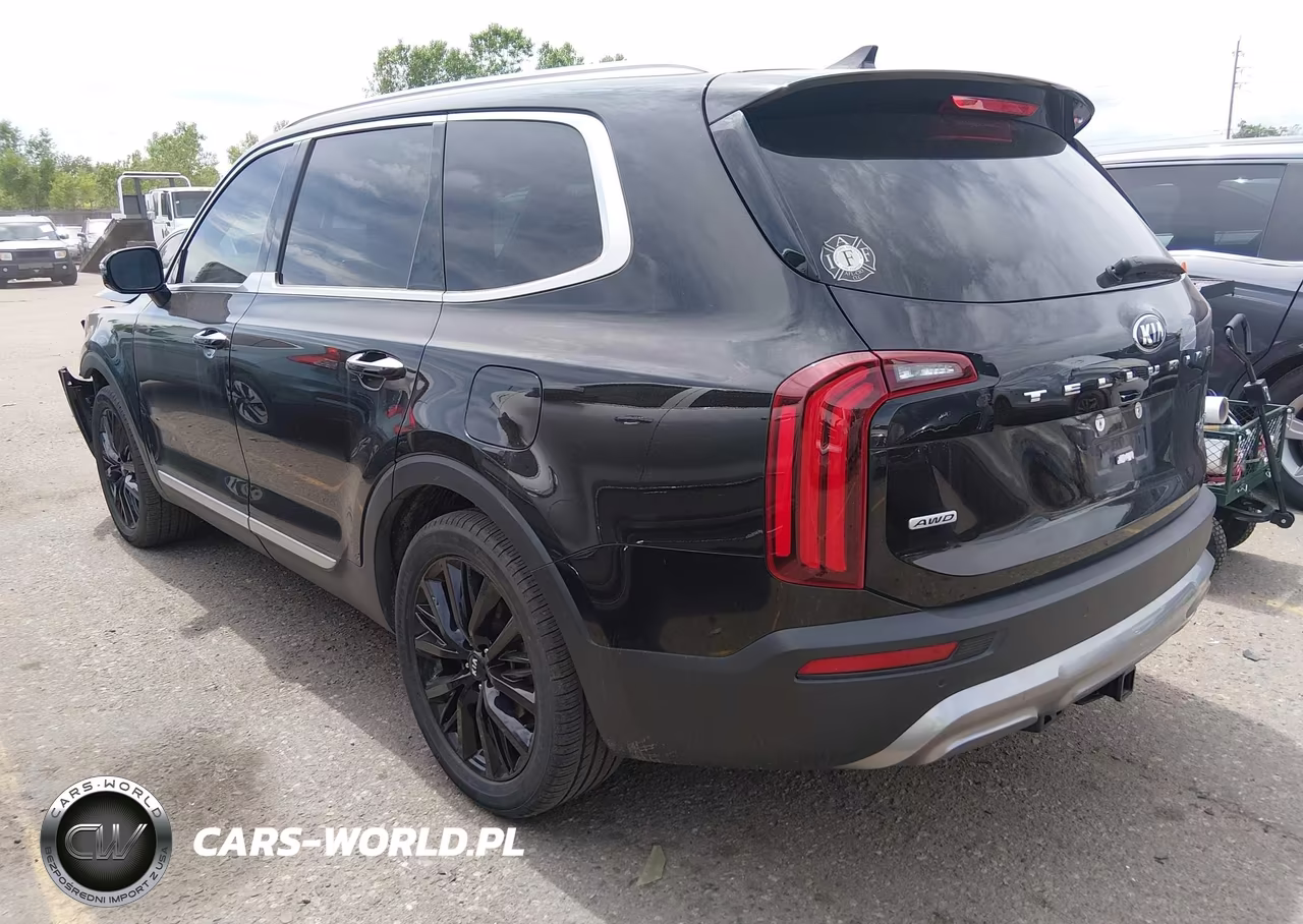 2021 Kia Telluride Sx VIN:5XYP5DHC6MG134114 - 3