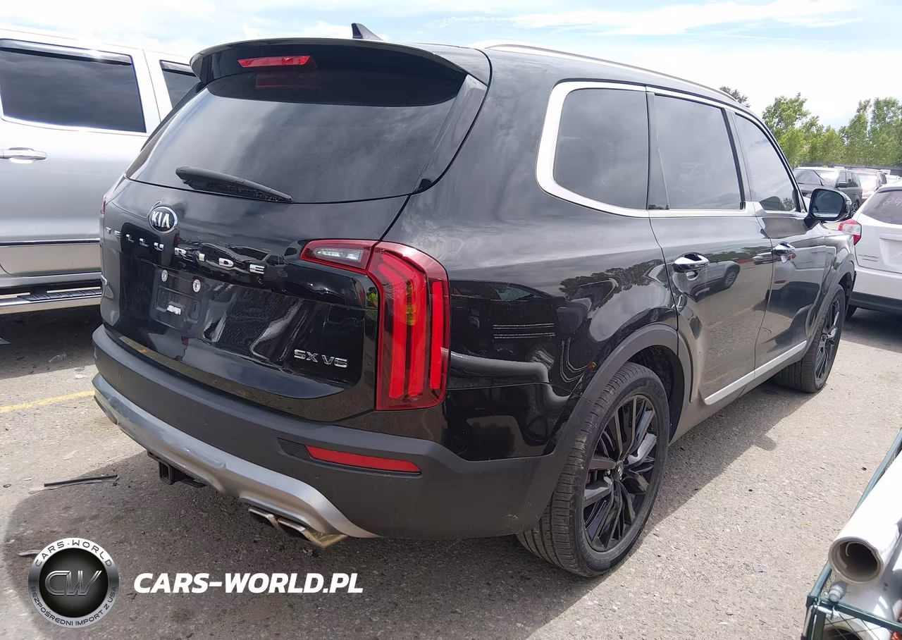 2021 Kia Telluride Sx VIN:5XYP5DHC6MG134114 - 4