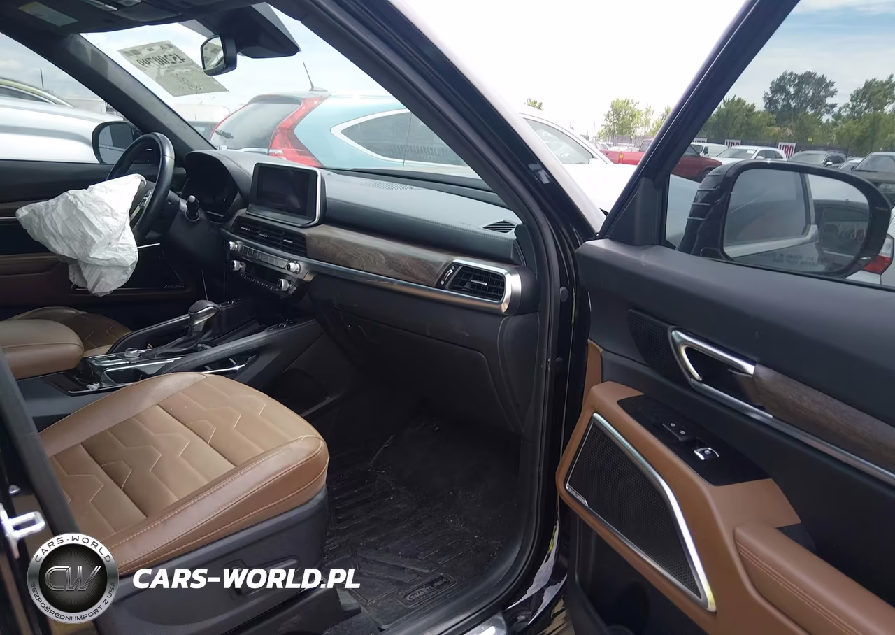 2021 Kia Telluride Sx VIN:5XYP5DHC6MG134114 - 5
