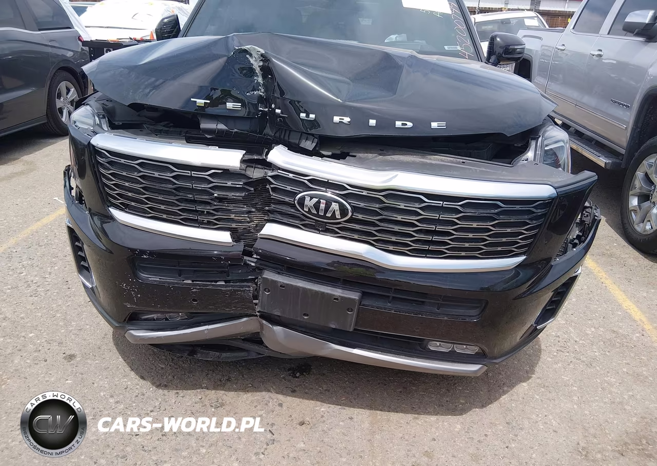 2021 Kia Telluride Sx VIN:5XYP5DHC6MG134114 - 6