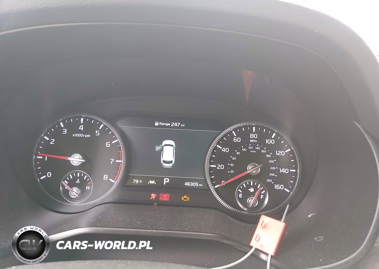 2021 Kia Telluride Sx VIN:5XYP5DHC6MG134114 - 7
