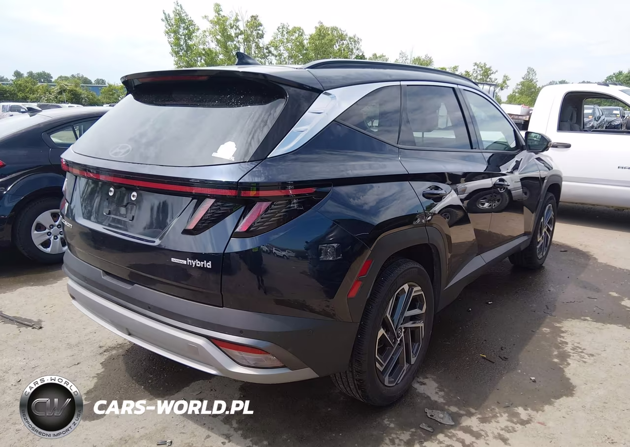 2025 Hyundai Tucson Hybrid Limited VIN:KM8JEDD18SU268088 - 4