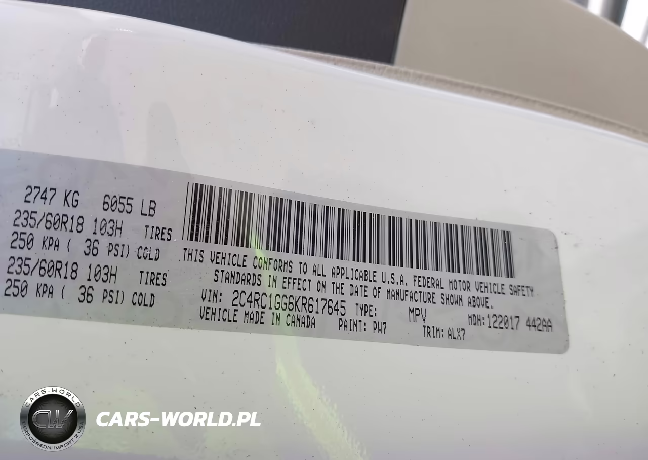 2019 Chrysler Pacifica Limited VIN:2C4RC1GG6KR617645 - 9