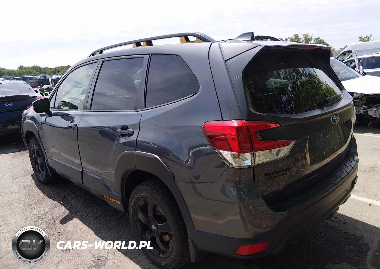 2022 Subaru Forester Wilderness VIN:JF2SKAMC1NH467113 - 3