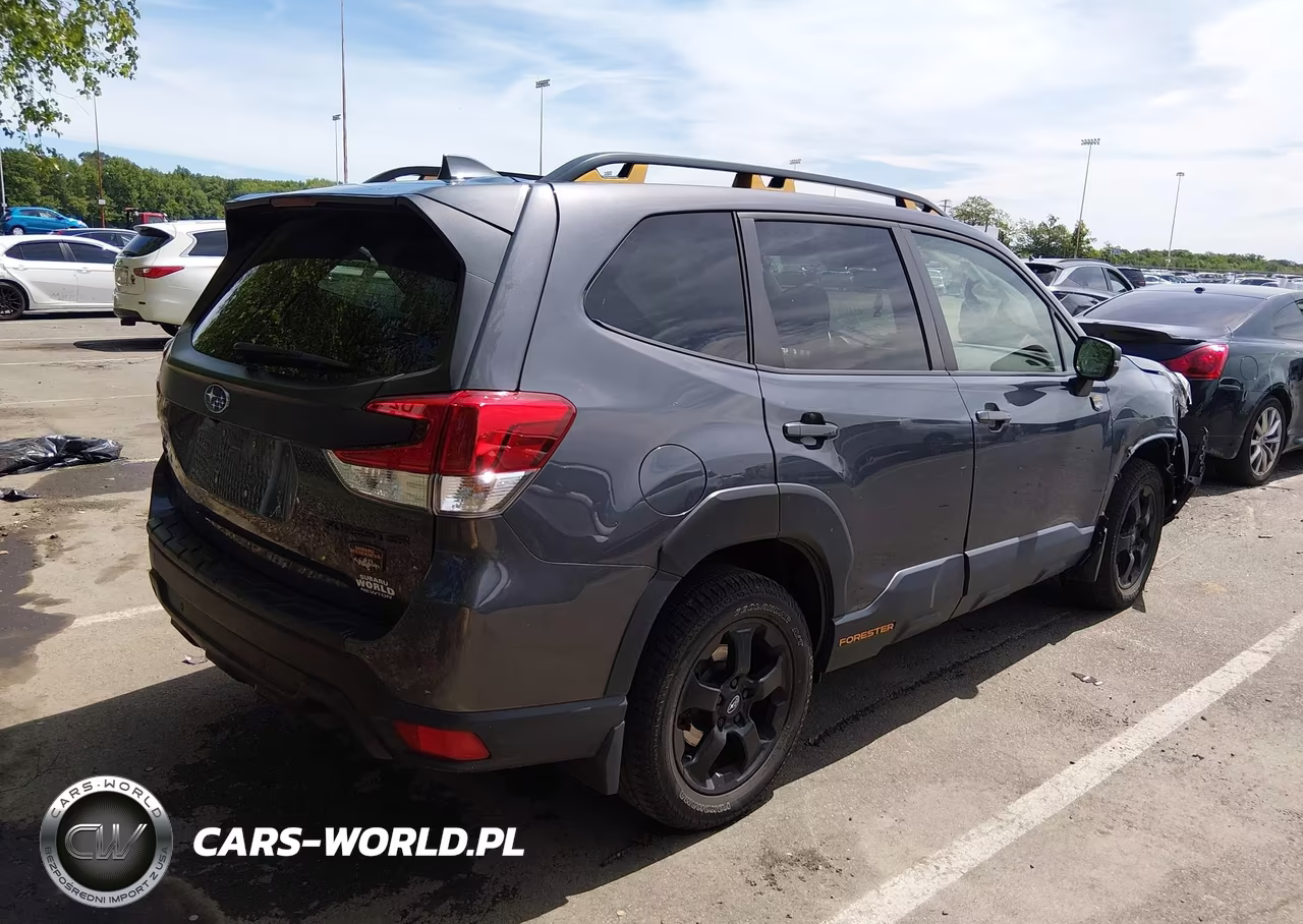 2022 Subaru Forester Wilderness VIN:JF2SKAMC1NH467113 - 4