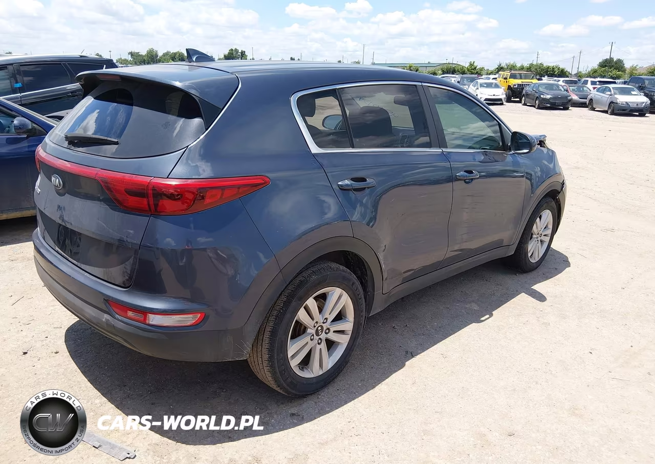 2017 Kia Sportage Lx VIN:KNDPM3AC2H7120804 - 4