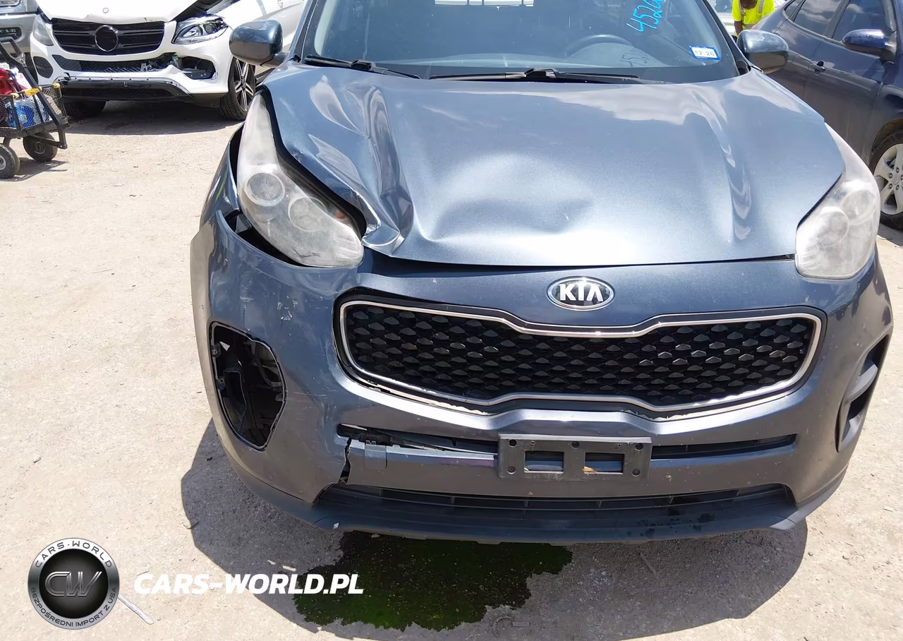 2017 Kia Sportage Lx VIN:KNDPM3AC2H7120804 - 6