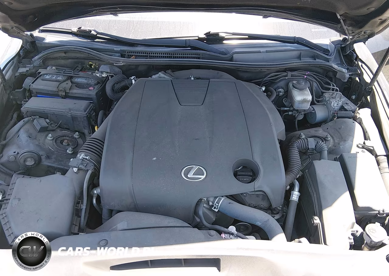 2015 Lexus Is 250 VIN:JTHBF1D23F5049342 - 10