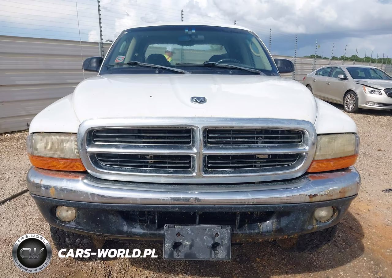 2004 Dodge Dakota Slt VIN:1D7HG48N94S720807 - 11