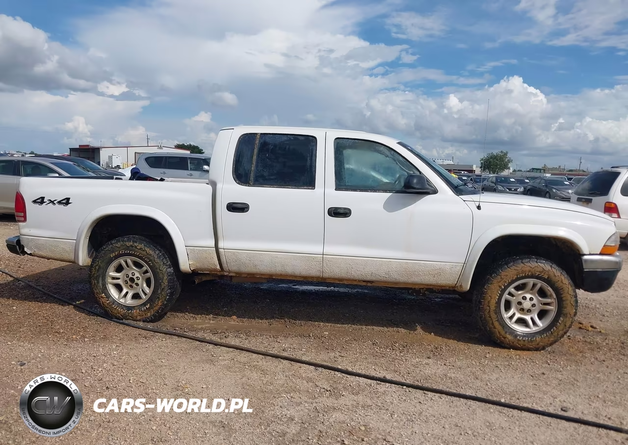 2004 Dodge Dakota Slt VIN:1D7HG48N94S720807 - 12