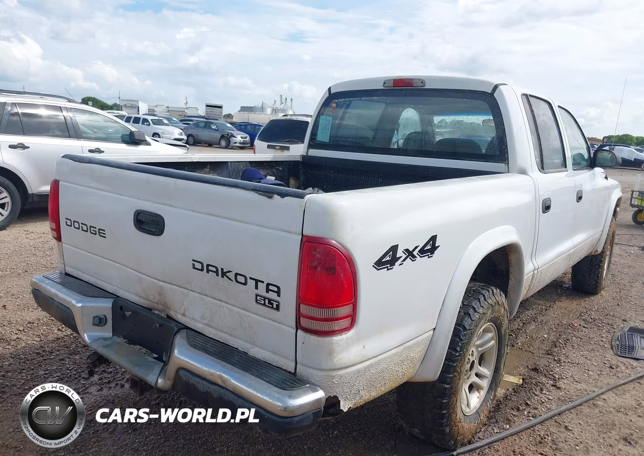 2004 Dodge Dakota Slt VIN:1D7HG48N94S720807 - 4
