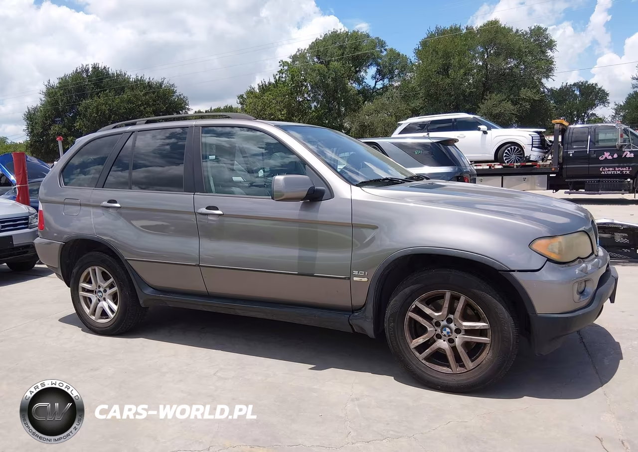 2006 BMW X5 3.0I VIN:5UXFA13536LY27968 - 13