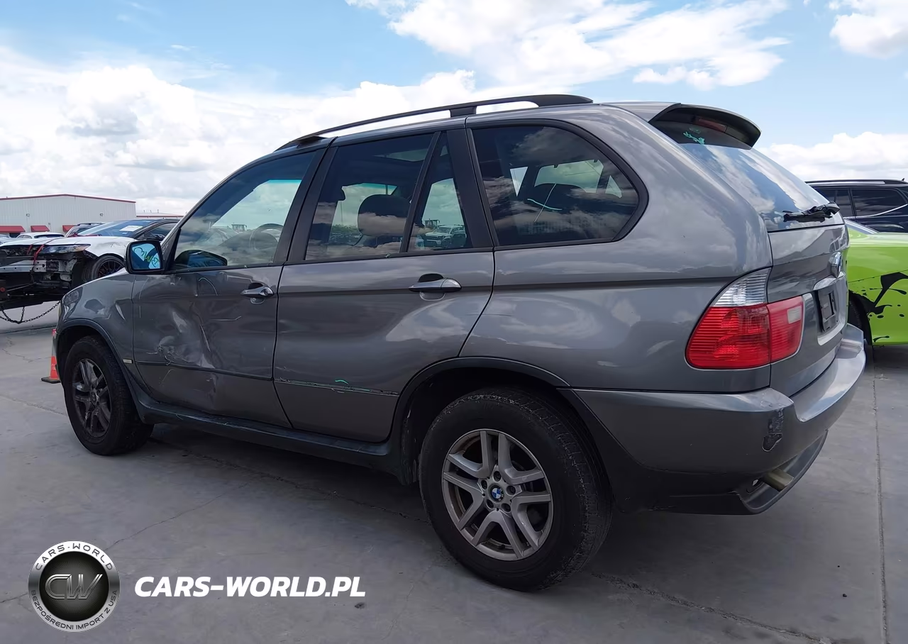 2006 BMW X5 3.0I VIN:5UXFA13536LY27968 - 17