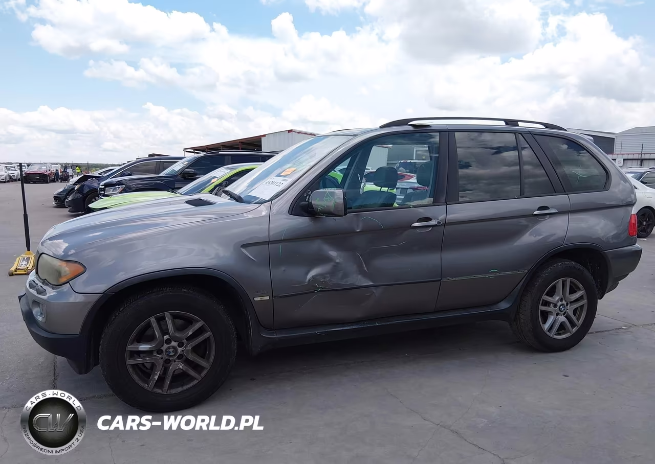 2006 BMW X5 3.0I VIN:5UXFA13536LY27968 - 6