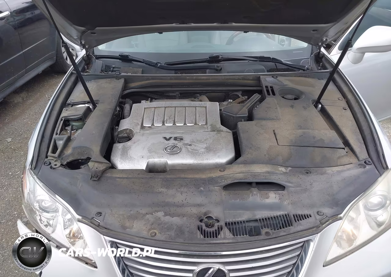 2007 Lexus Es 350 VIN:JTHBJ46GX72025289 - 10