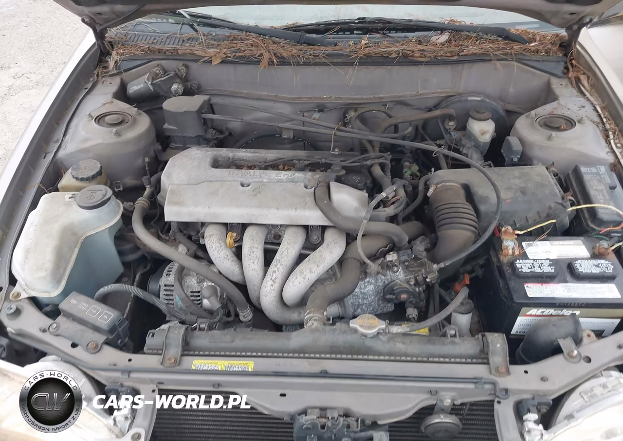 1999 Toyota Corolla Ce VIN:2T1BR12E5XC175048 - 10
