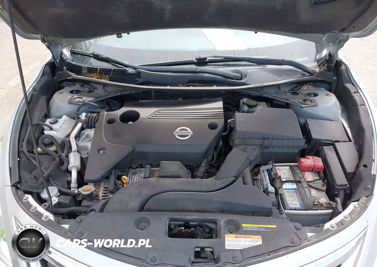 2015 Nissan Altima 2.5-2.5 S-2.5 Sl-2.5 Sv VIN:1N4AL3AP5FN384738 - 10