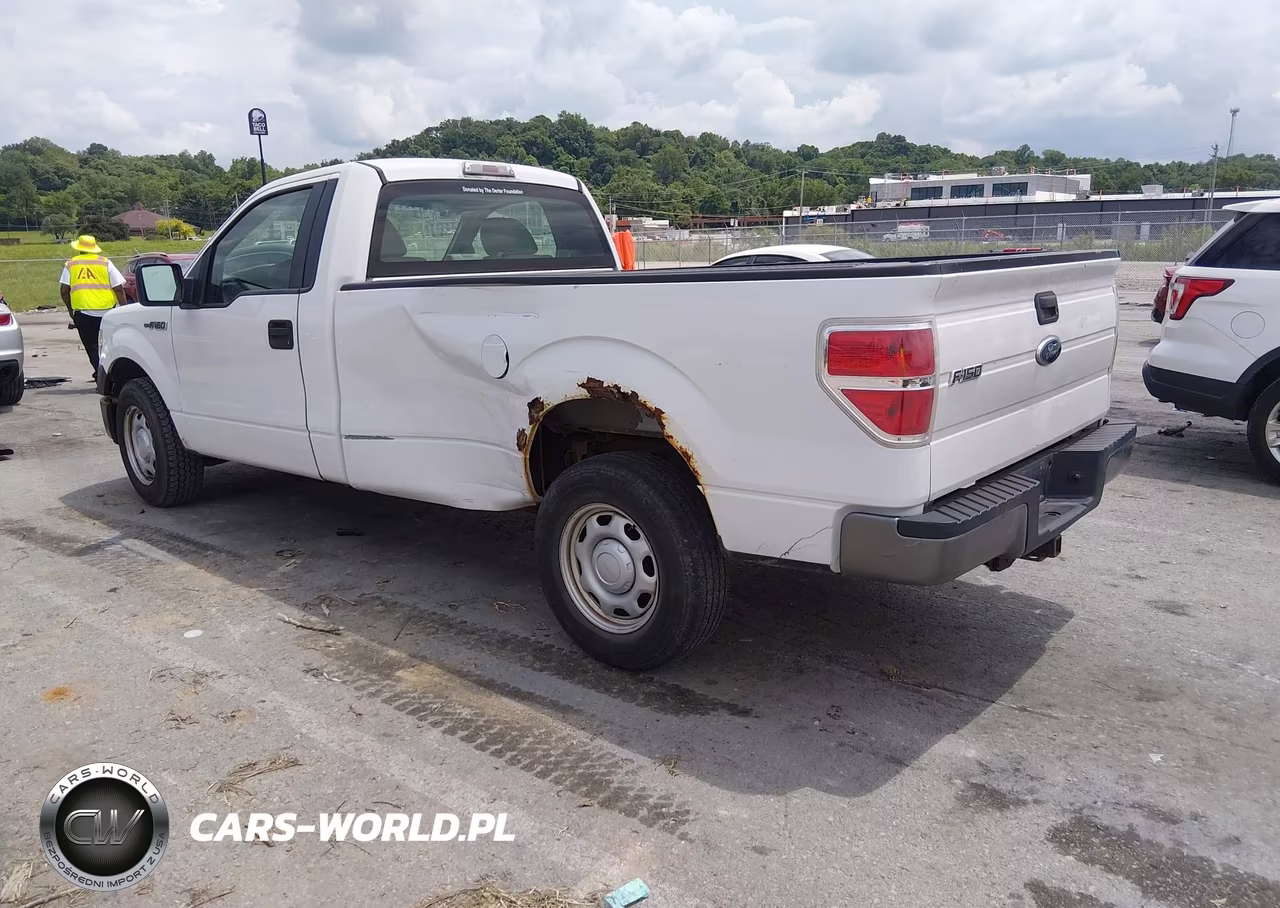 2010 Ford F-150 Stx-Xl-Xlt VIN:1FTMF1CW2AKE80070 - 3