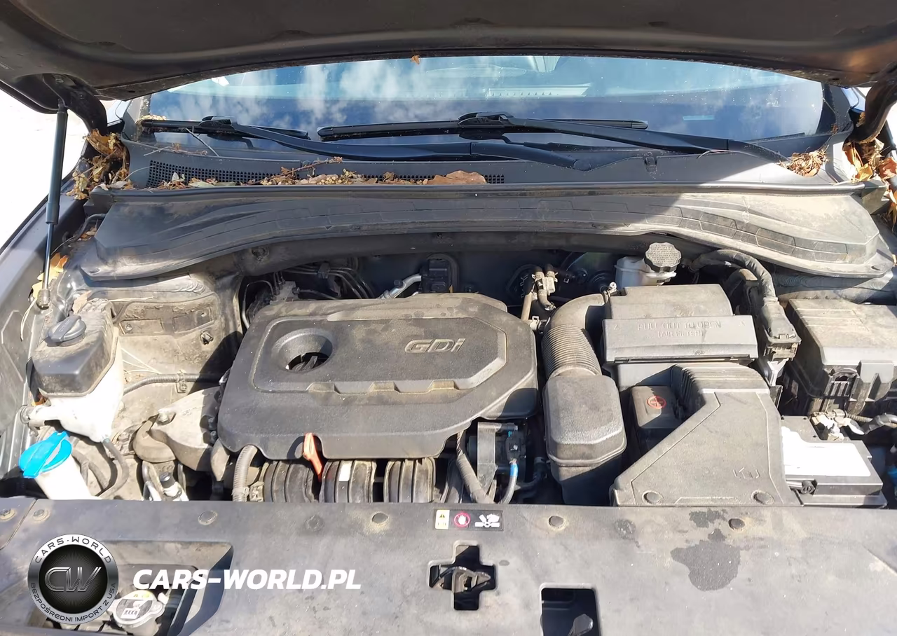 2019 Hyundai Santa Fe Se VIN:5NMS23AD3KH088356 - 10