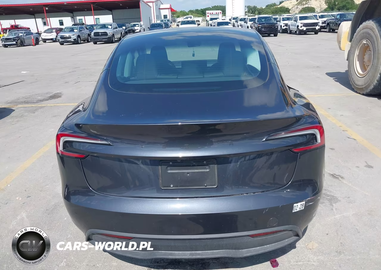 2025 Tesla Model 3 Long Range Rear-Wheel Drive-Standard Rear-Wheel Drive VIN:5YJ3E1EA9SF132975 - 15