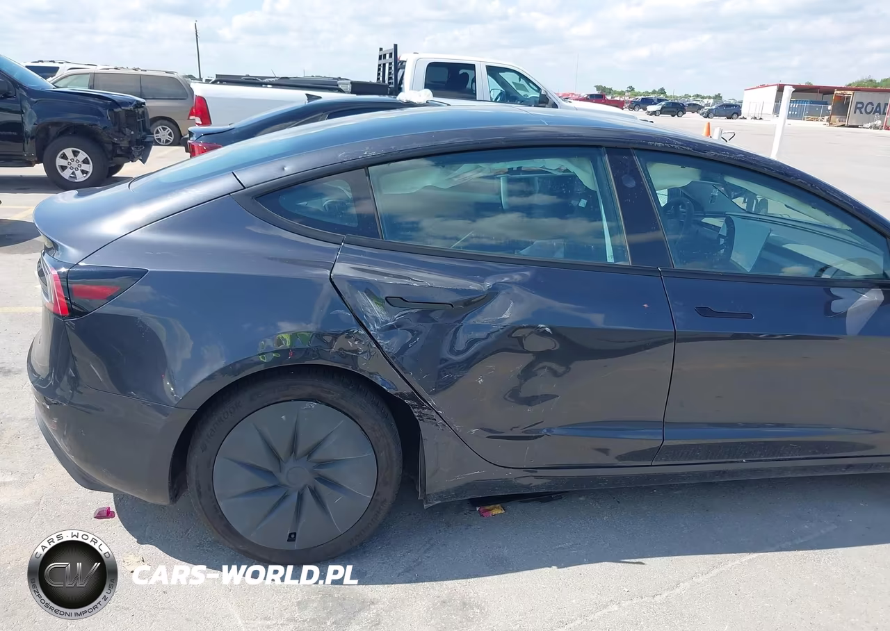 2025 Tesla Model 3 Long Range Rear-Wheel Drive-Standard Rear-Wheel Drive VIN:5YJ3E1EA9SF132975 - 6