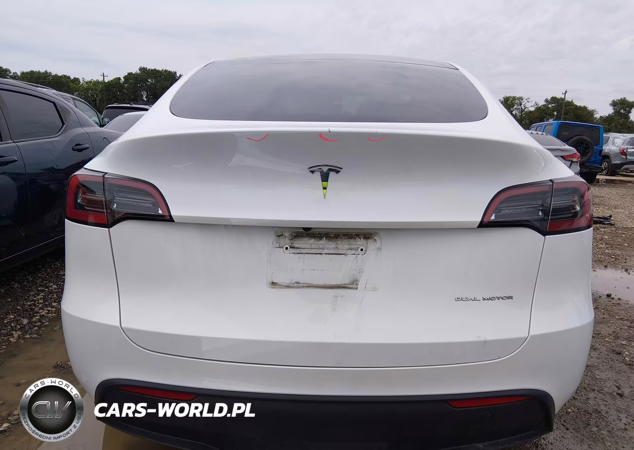 2023 Tesla Model Y VIN:7SAYGDEE3PA076219 - 17