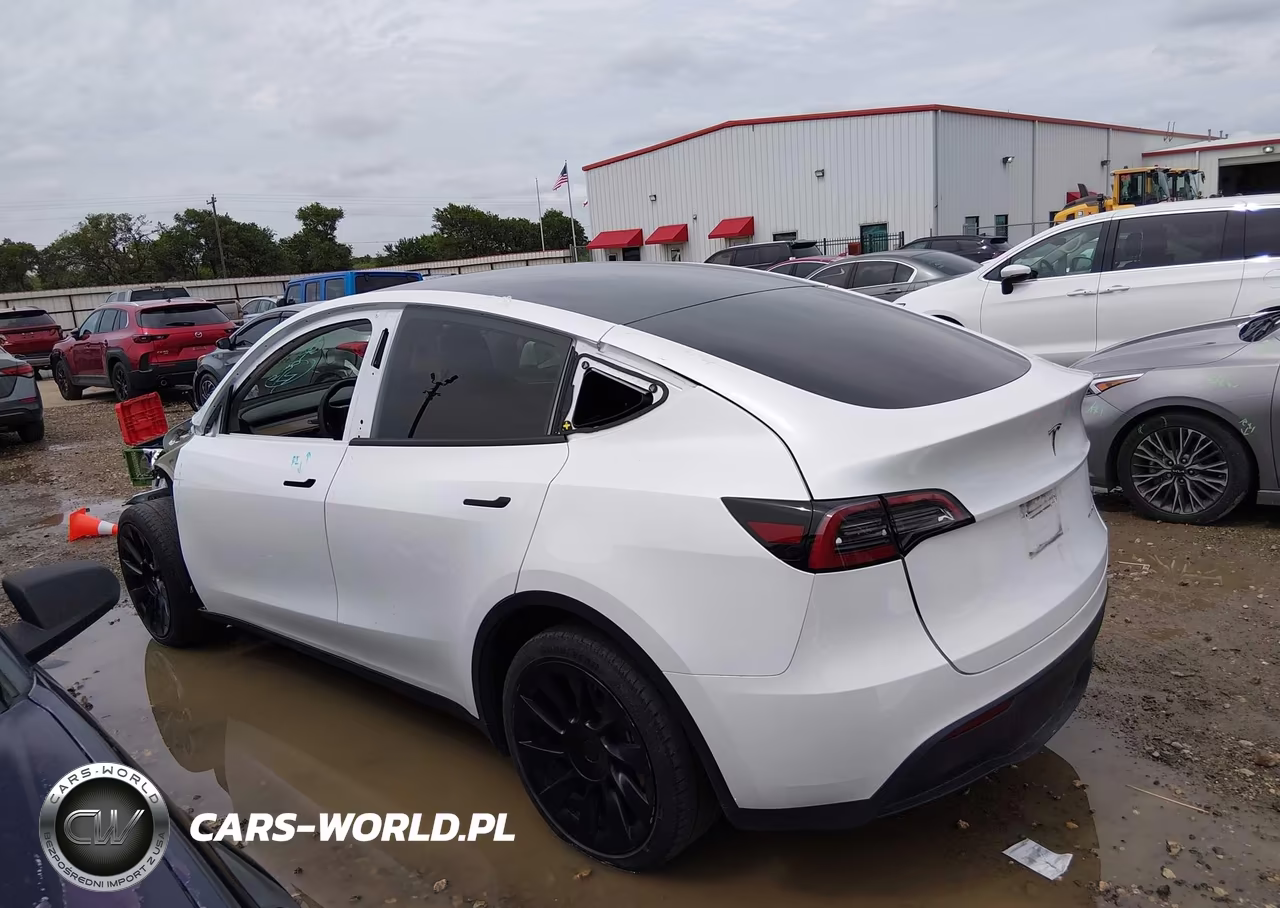 2023 Tesla Model Y VIN:7SAYGDEE3PA076219 - 3