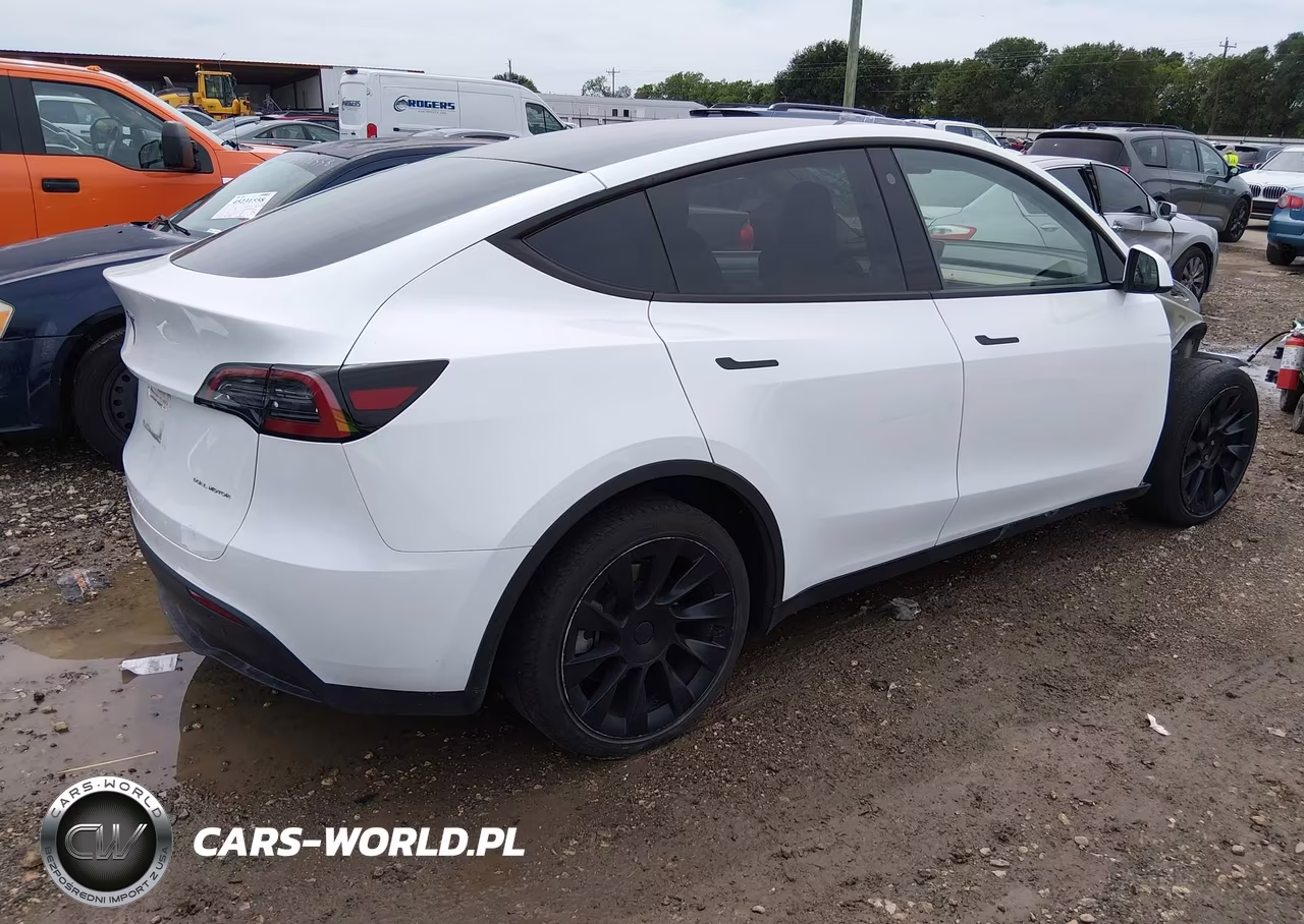 2023 Tesla Model Y VIN:7SAYGDEE3PA076219 - 4
