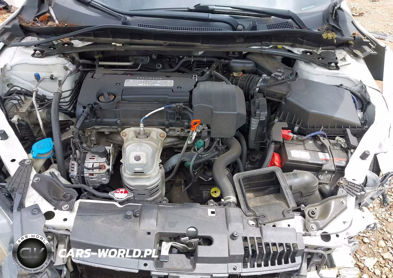 2013 Honda Accord Ex-L VIN:1HGCR2F85DA046145 - 10
