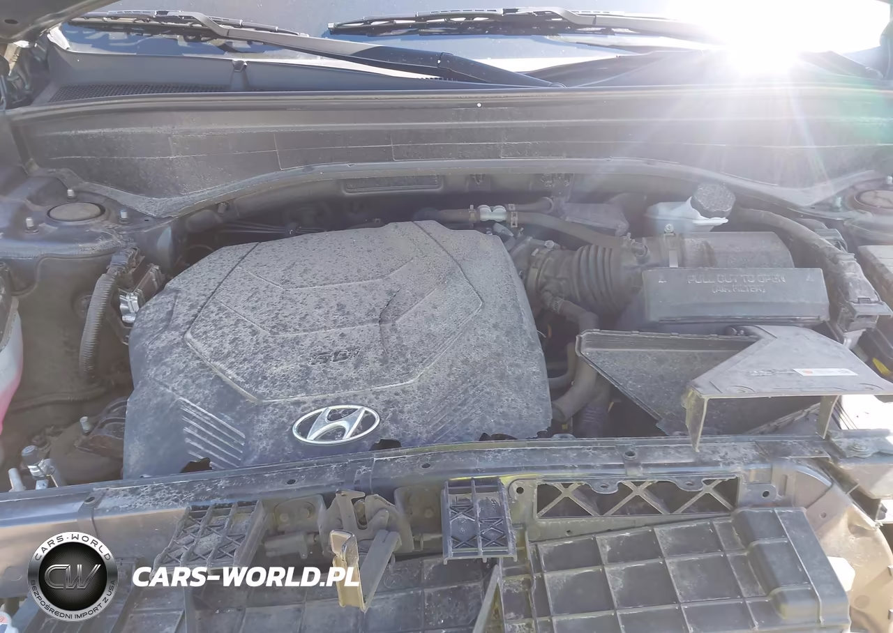 2022 Hyundai Palisade Calligraphy VIN:KM8R7DHE0NU366210 - 10