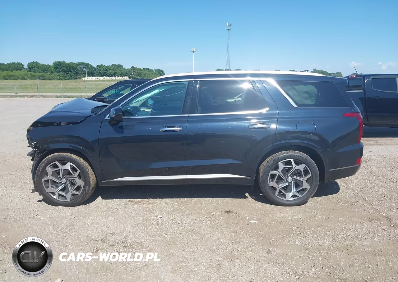 2022 Hyundai Palisade Calligraphy VIN:KM8R7DHE0NU366210 - 14