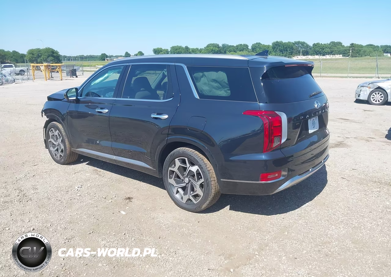 2022 Hyundai Palisade Calligraphy VIN:KM8R7DHE0NU366210 - 3