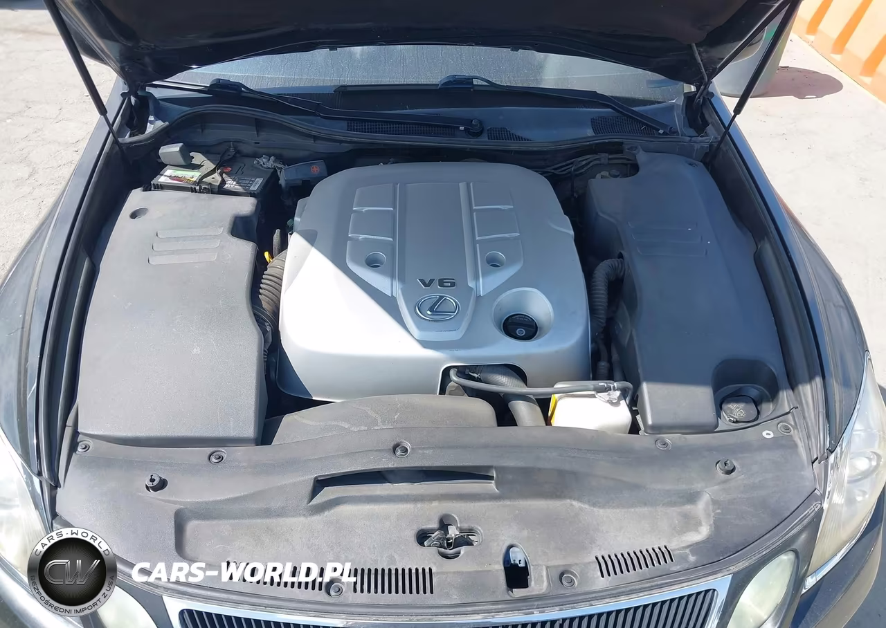 2006 Lexus Gs 300 VIN:JTHBH96S365004097 - 10