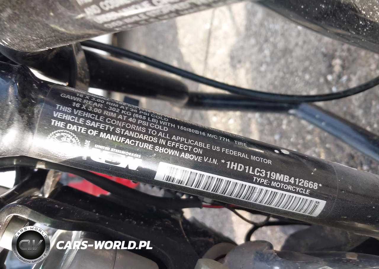 2021 Harley-Davidson Xl1200 X VIN:1HD1LC319MB412668 - 10