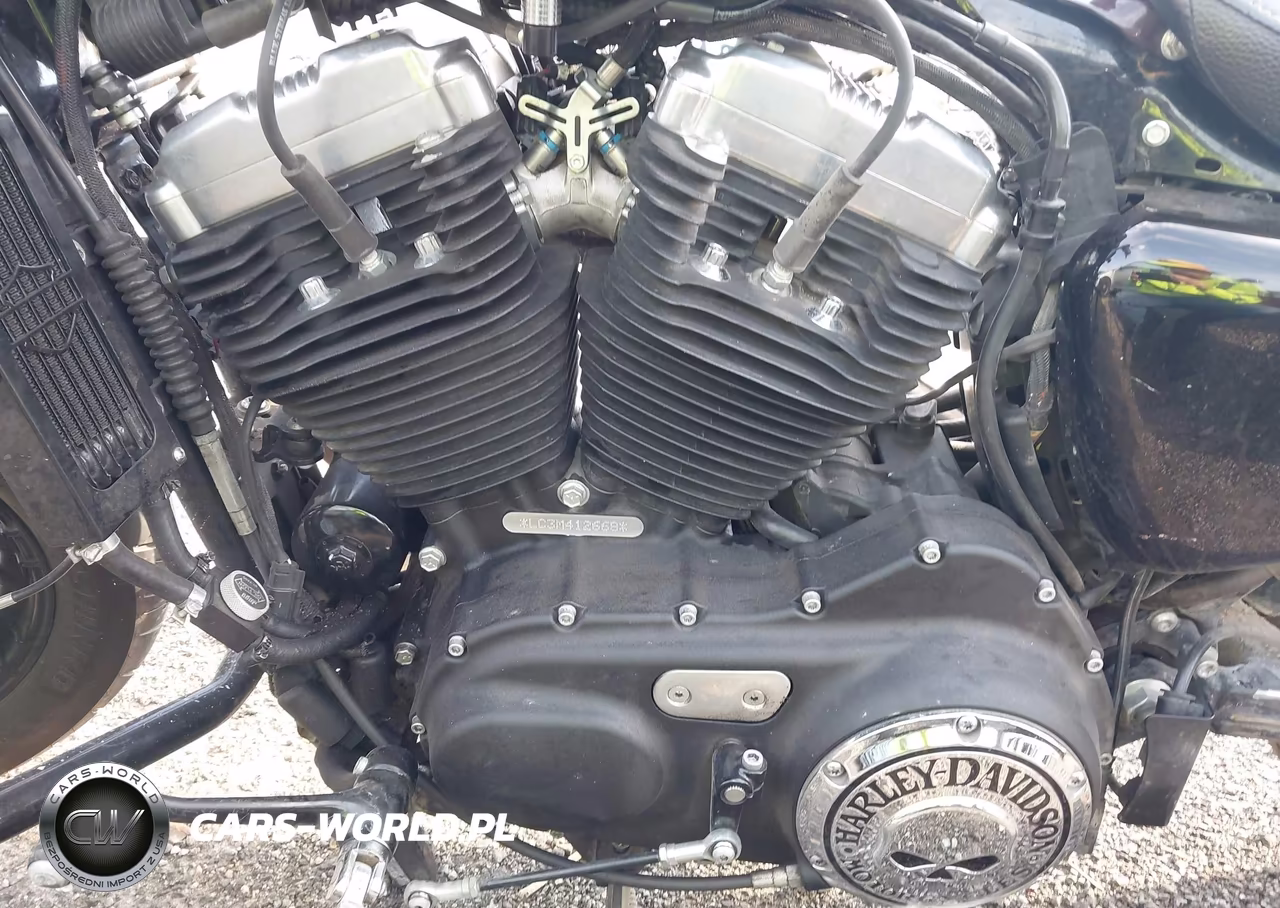 2021 Harley-Davidson Xl1200 X VIN:1HD1LC319MB412668 - 9