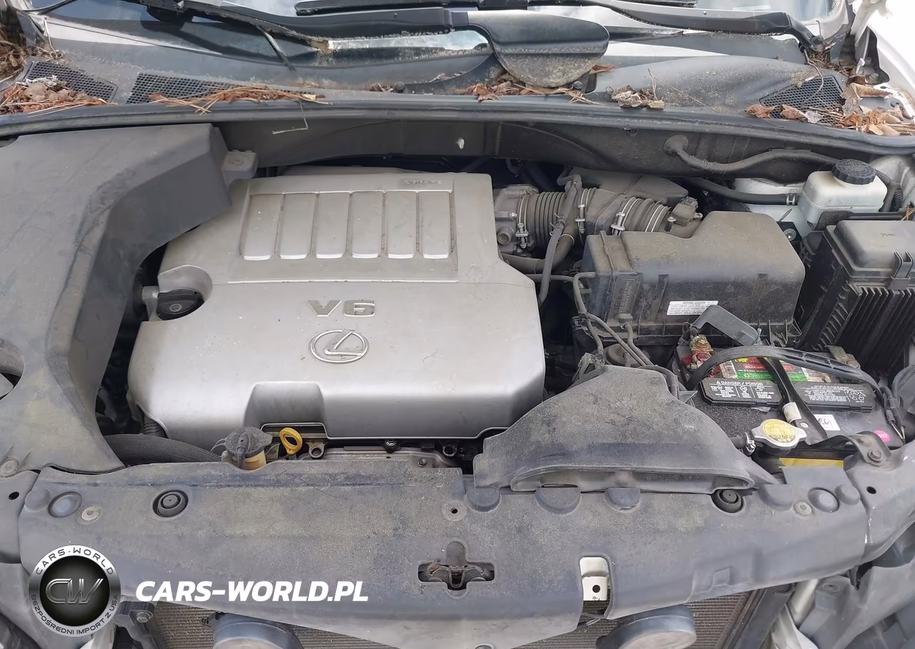 2007 Lexus Rx 350 VIN:2T2GK31U27C007104 - 10