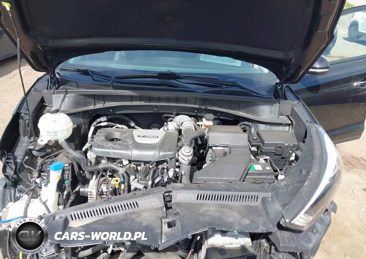 2017 Hyundai Tucson Limited VIN:KM8J3CA2XHU311061 - 10