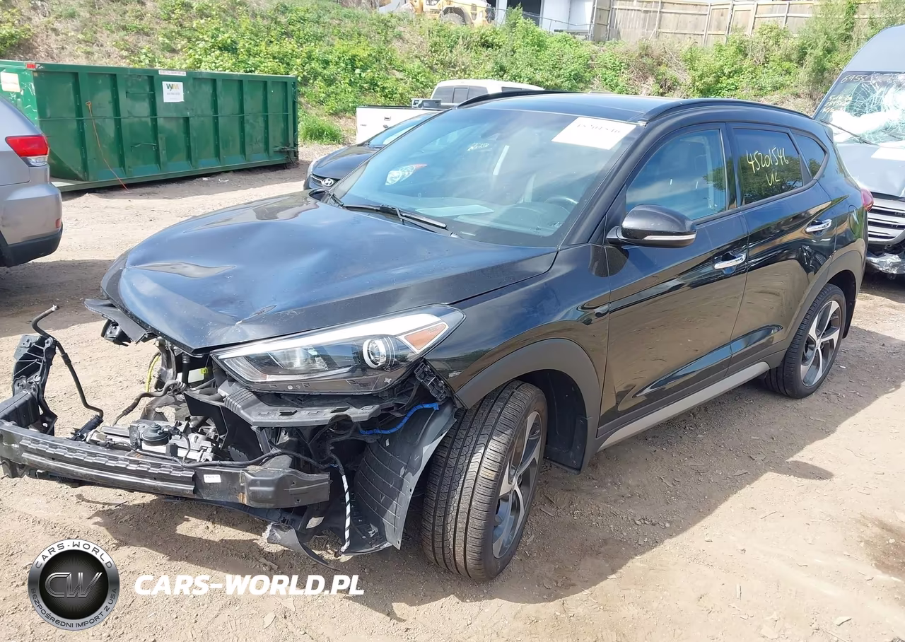 2017 Hyundai Tucson Limited VIN:KM8J3CA2XHU311061 - 2