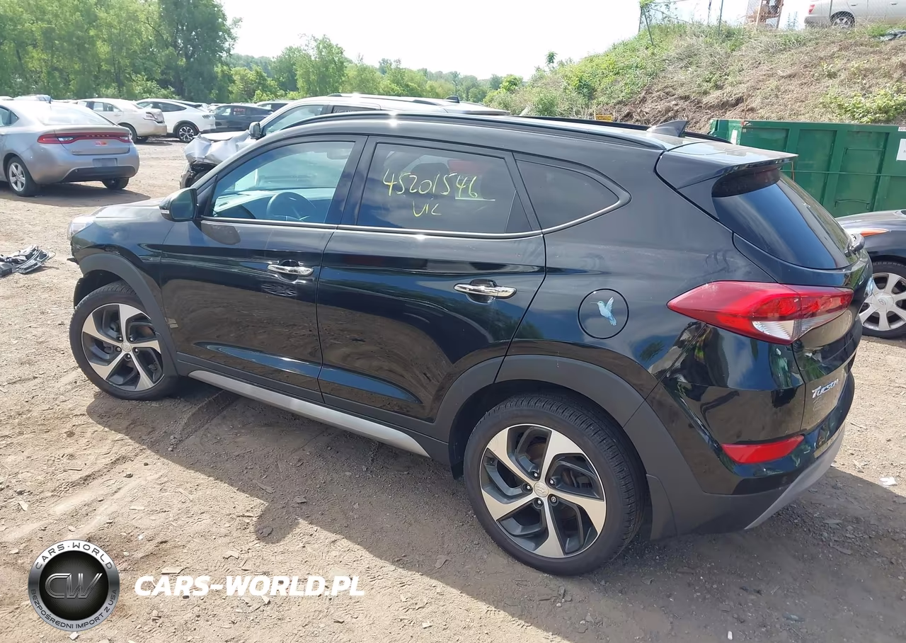 2017 Hyundai Tucson Limited VIN:KM8J3CA2XHU311061 - 3