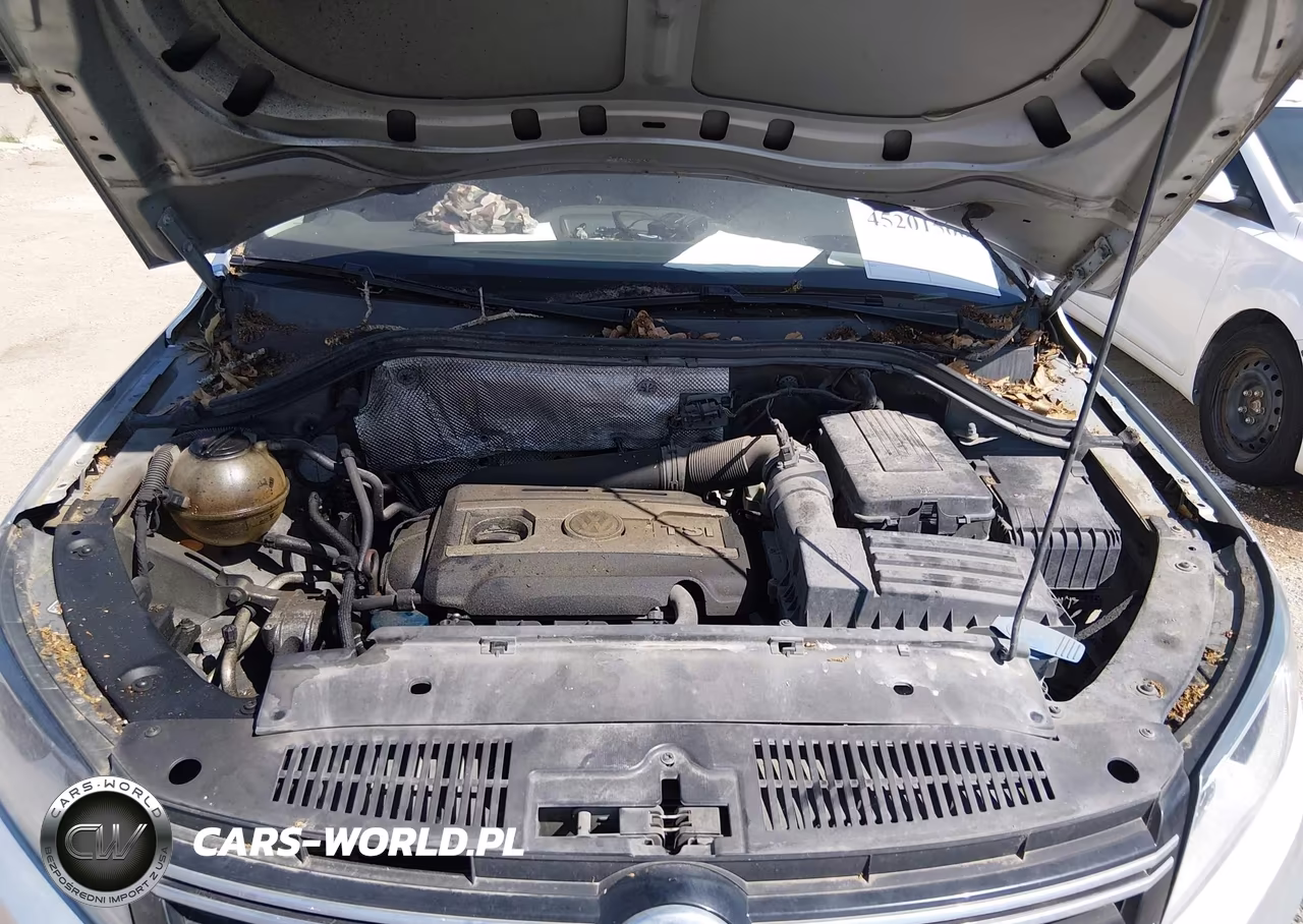 2013 Volkswagen Tiguan Se VIN:WVGAV3AX9DW562948 - 10