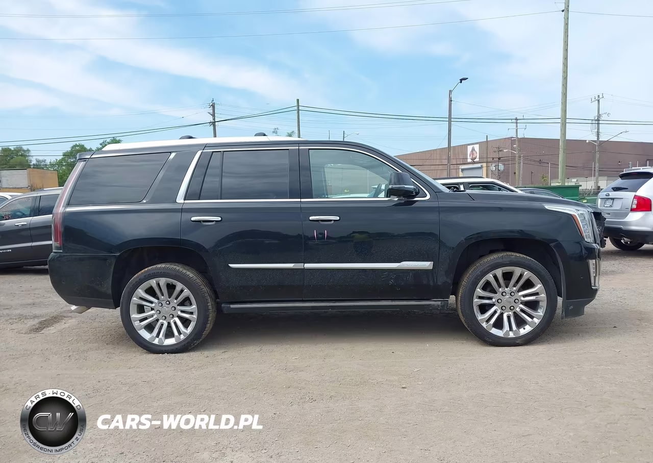 2018 Cadillac Escalade Premium Luxury VIN:1GYS4CKJ6JR272483 - 12