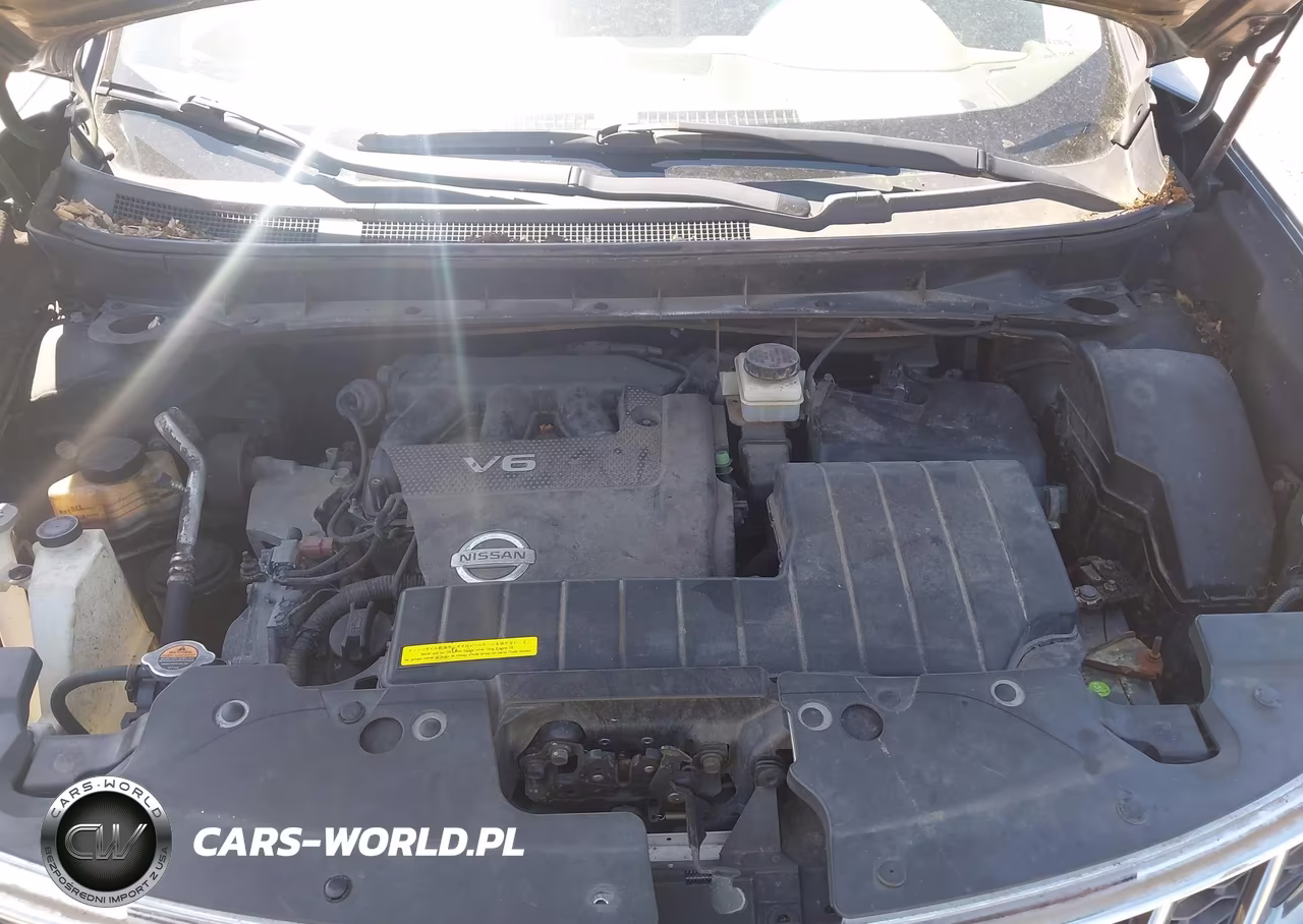 2011 Nissan Murano Sl VIN:JN8AZ1MW7BW161867 - 10
