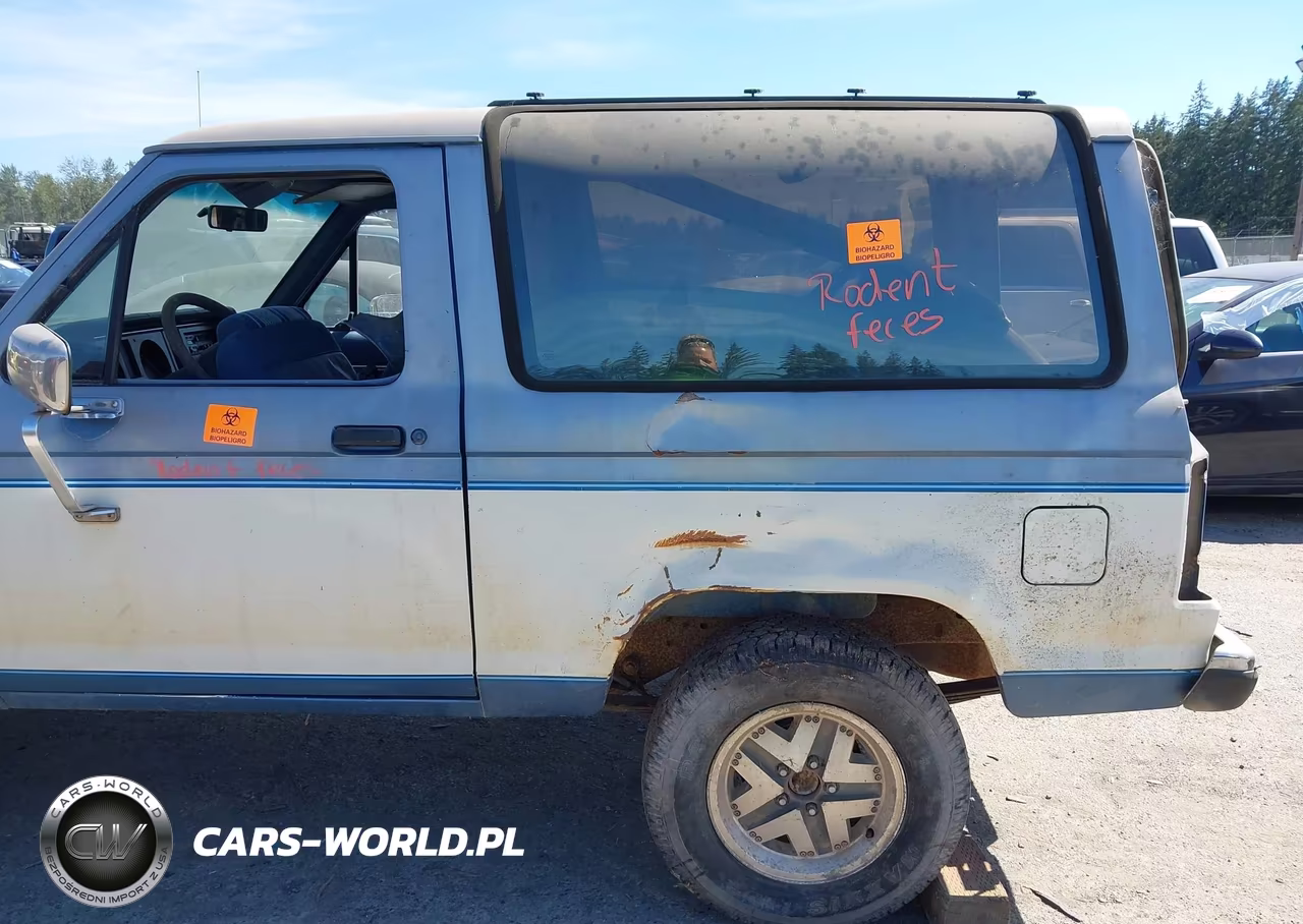 1988 Ford Bronco Ii VIN:1FMCU14T9JUA69335 - 13
