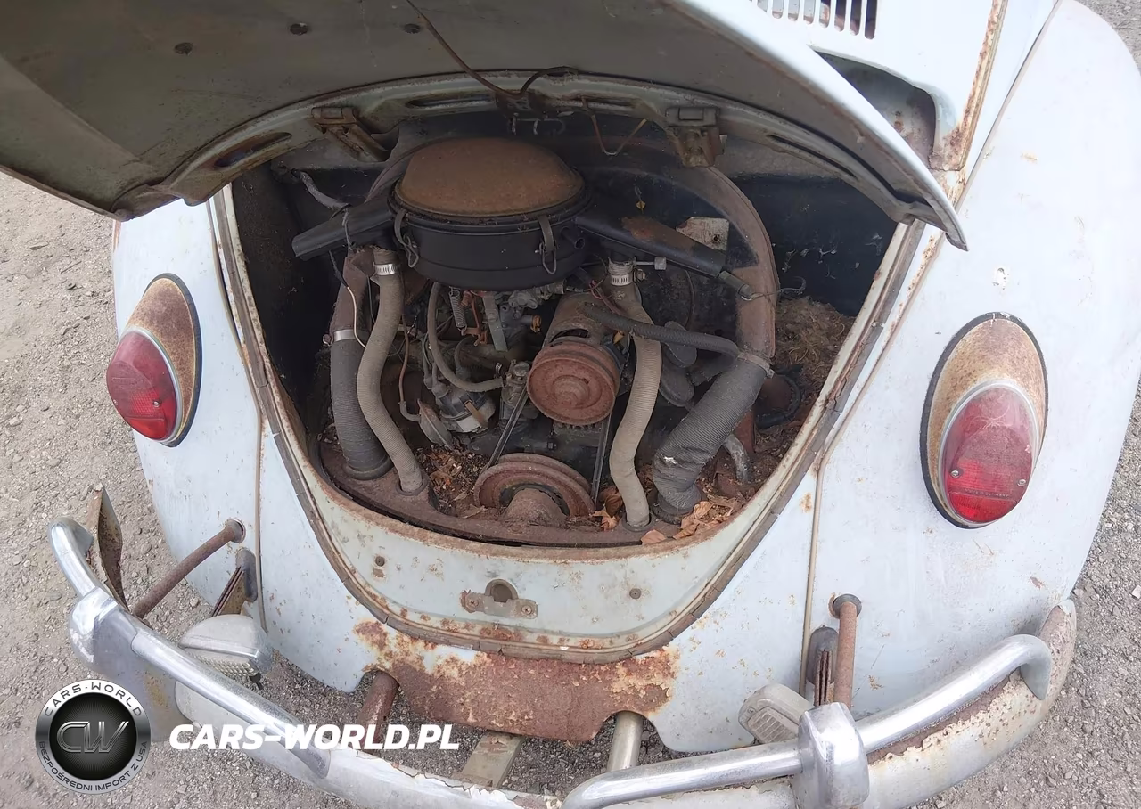 1967 Volkswagen New Beetle VIN:117292442 - 10