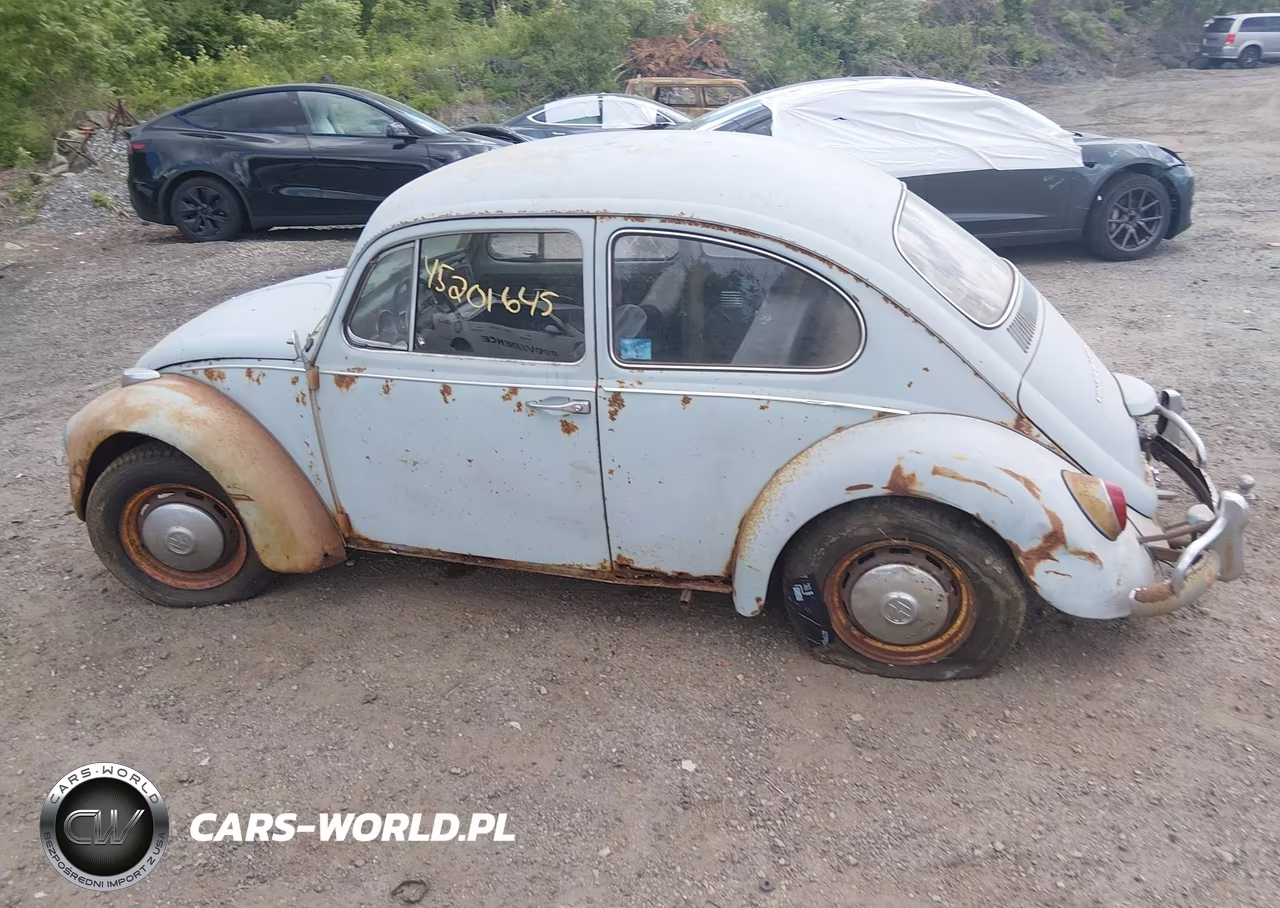 1967 Volkswagen New Beetle VIN:117292442 - 14