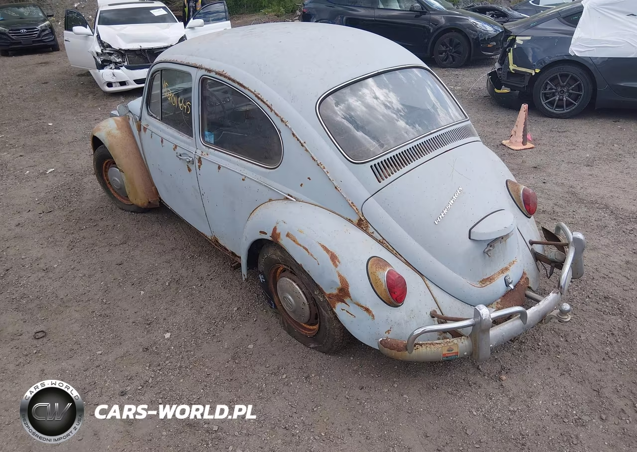 1967 Volkswagen New Beetle VIN:117292442 - 3