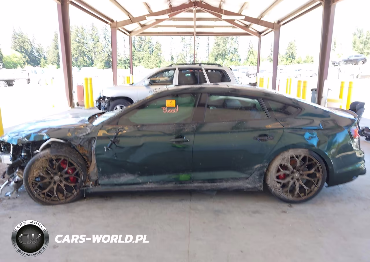 2019 Audi Rs 5 2.9T VIN:WUABWCF57KA902916 - 15