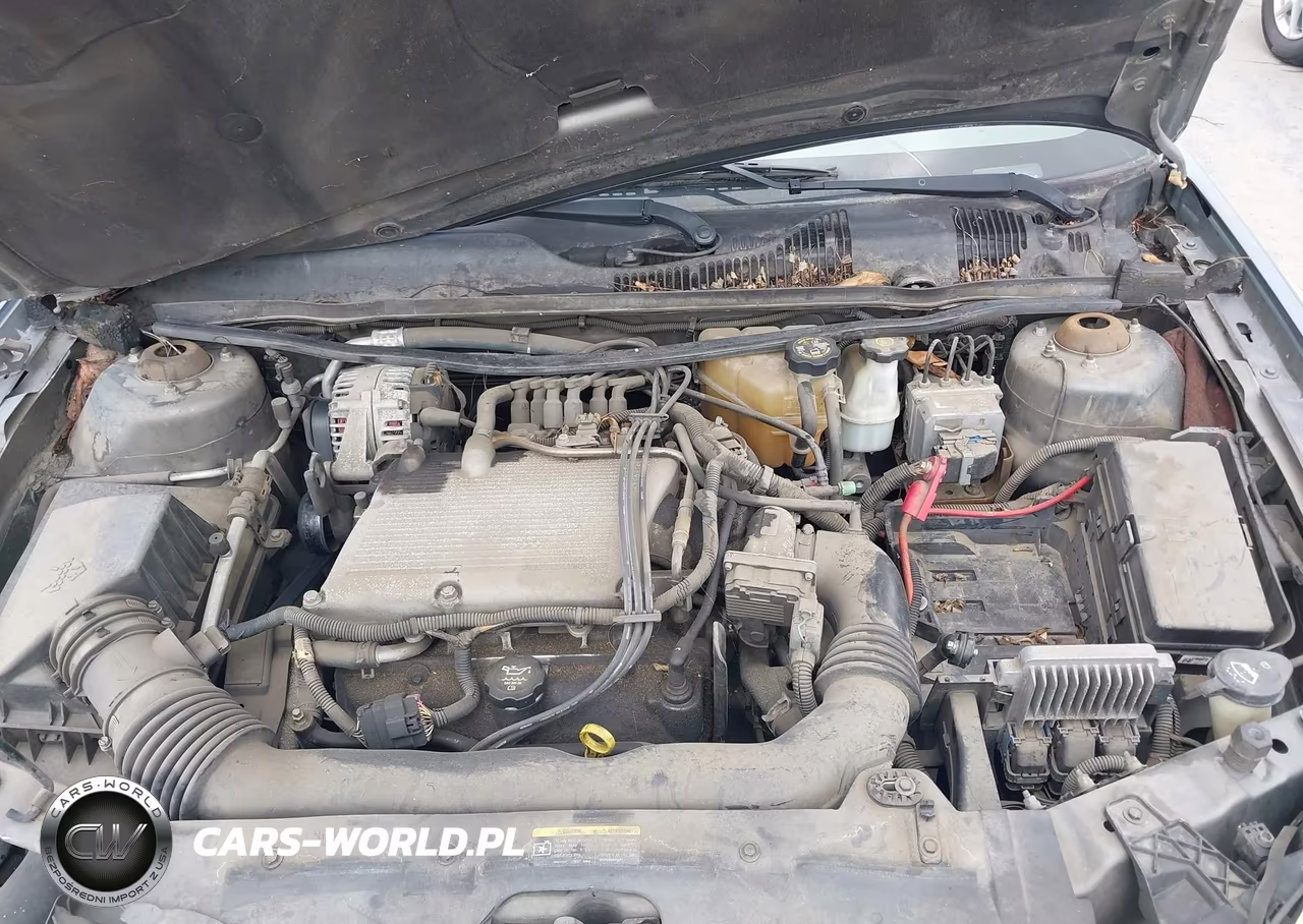 2004 Chevrolet Malibu Ls VIN:1G1ZT54884F140126 - 10