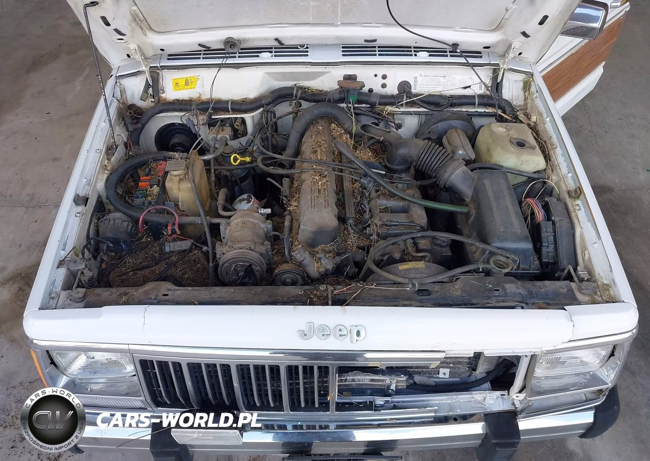 1991 Jeep Cherokee Briarwood VIN:1J4FN78S2ML505675 - 10