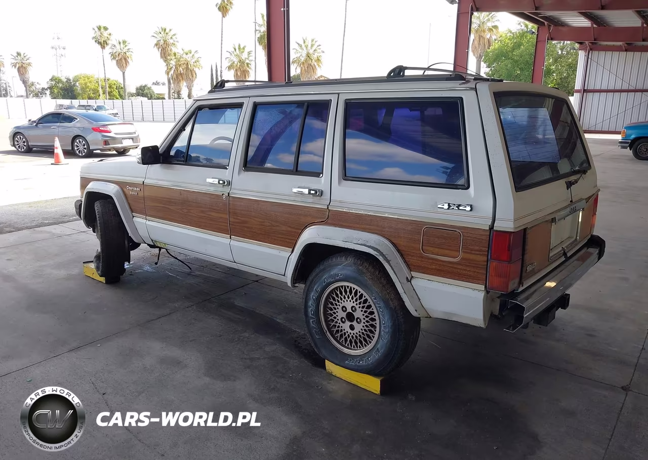 1991 Jeep Cherokee Briarwood VIN:1J4FN78S2ML505675 - 3